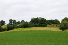 2046941-Gemiddeld