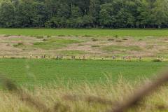 207F831-Gemiddeld