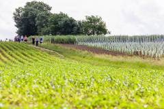 2014671-Gemiddeld