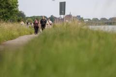 204A921-Gemiddeld